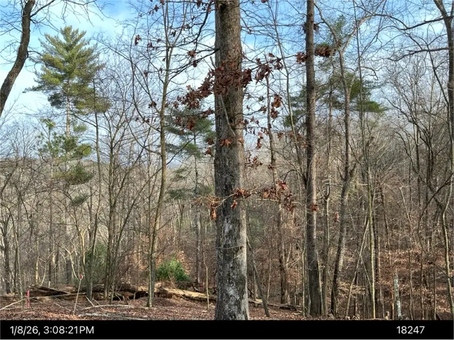 Lot 403 Crown Court, Ellijay, GA 30540 - #2