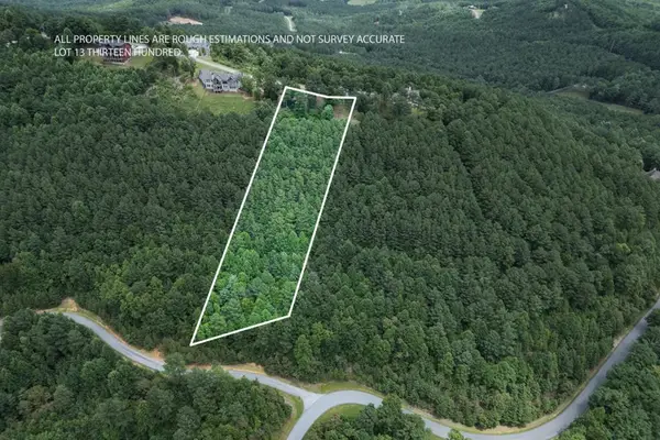 Lot 13 Thirteen Hundred, Blairsville, GA 30512