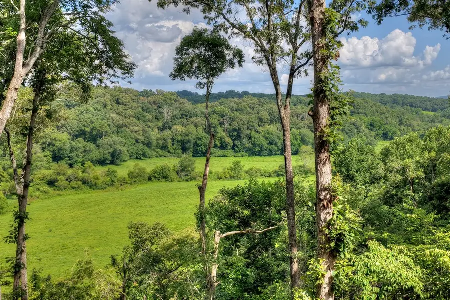 1729 Barnes Chapel Road, Blue Ridge, GA 30513 - #3