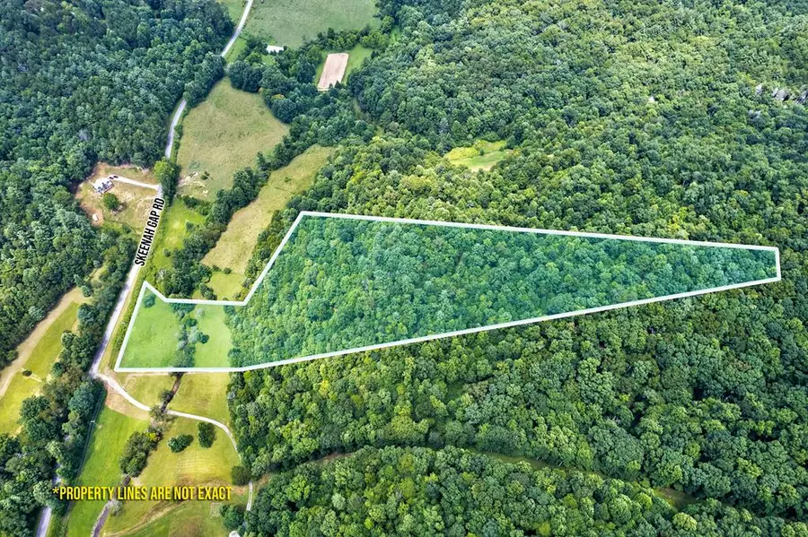 17.22 ac Skeenah Gap Road, Suches, GA 30513 - #2