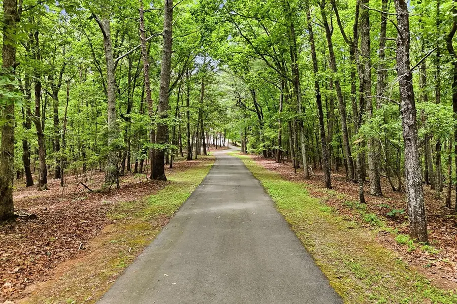 116 Hidden Cove Drive, Ball Ground, GA 30107 - #3