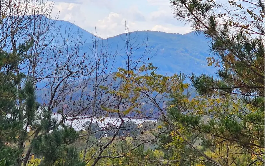 9A Chatuge Woods, Hayesville, NC 28904 - #2