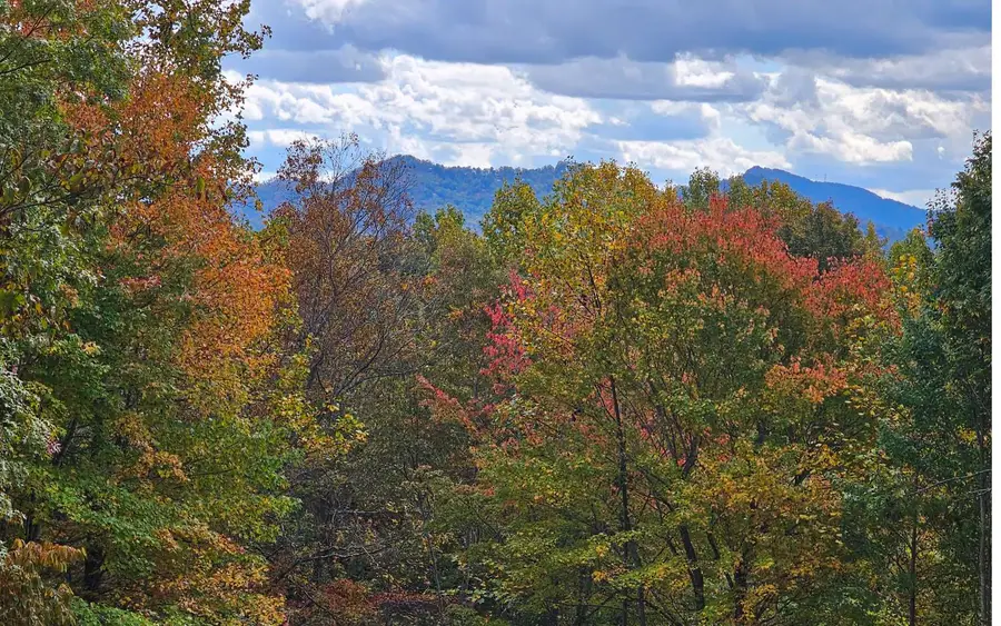 9A Chatuge Woods, Hayesville, NC 28904 - #3