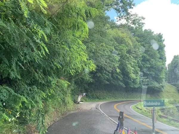 Lot #27 Laurel Lane, Nantahala, NC 28781
