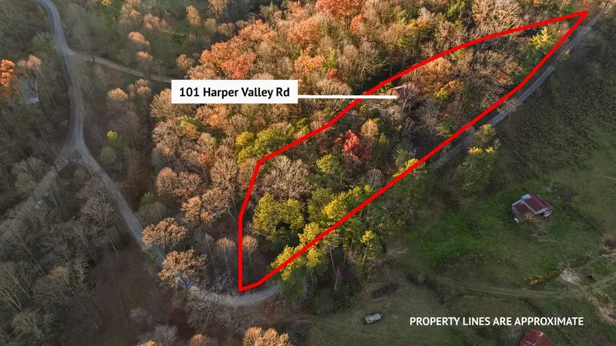 101 Harper Valley, Ellijay, GA 30540 - #3