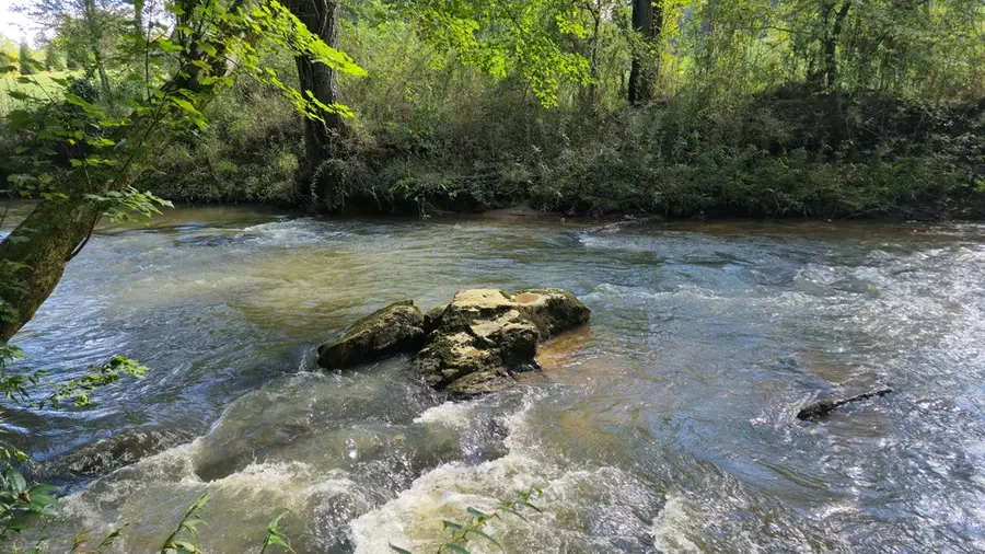 2575 Hwy 66, Young Harris, GA 30582 - #3
