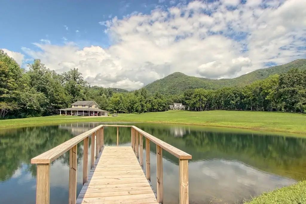 299 Old Homestead Lane, Hayesville, NC 28904 - #1