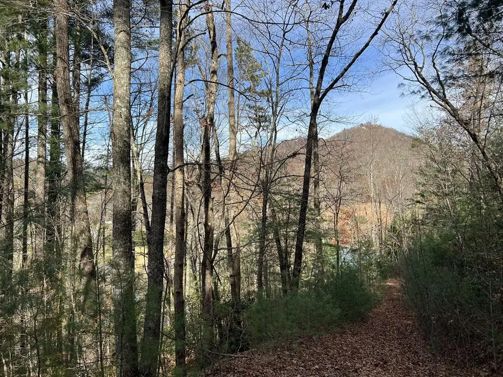 0 Downings Creek Lane, Hayesville, NC 28904 - #1