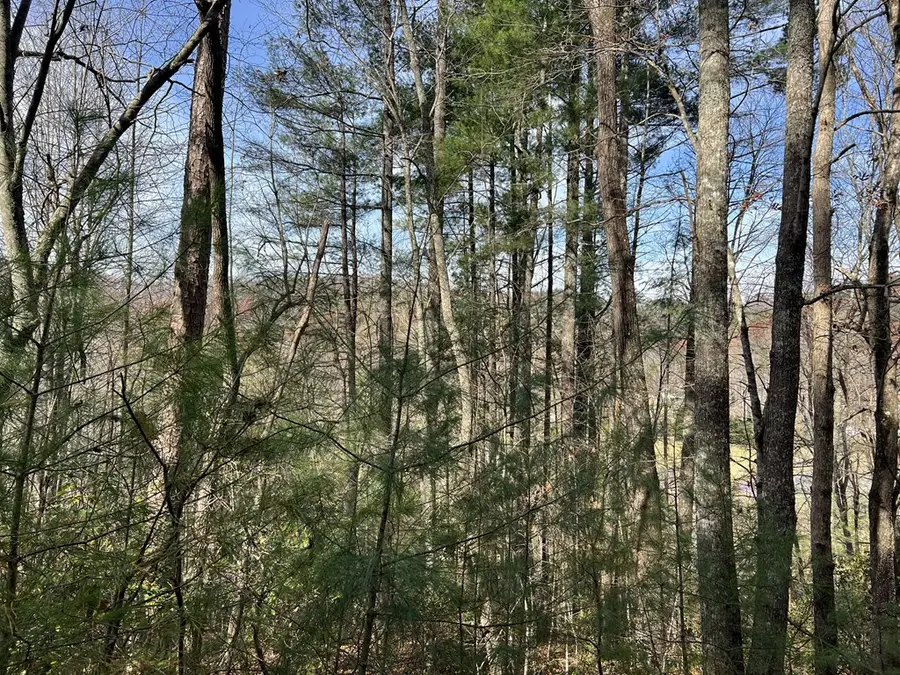 0 Downings Creek Lane, Hayesville, NC 28904 - #2
