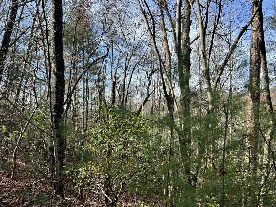 0 Downings Creek Lane, Hayesville, NC 28904 - #3