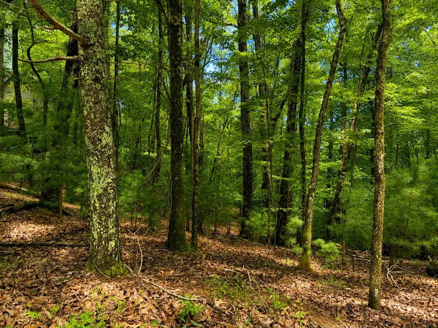J208 Pine Ridge Road, Ellijay, GA 30536 - #2
