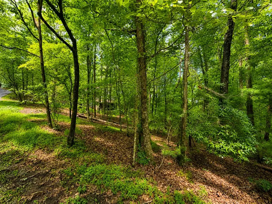 J208 Pine Ridge Road, Ellijay, GA 30536 - #3
