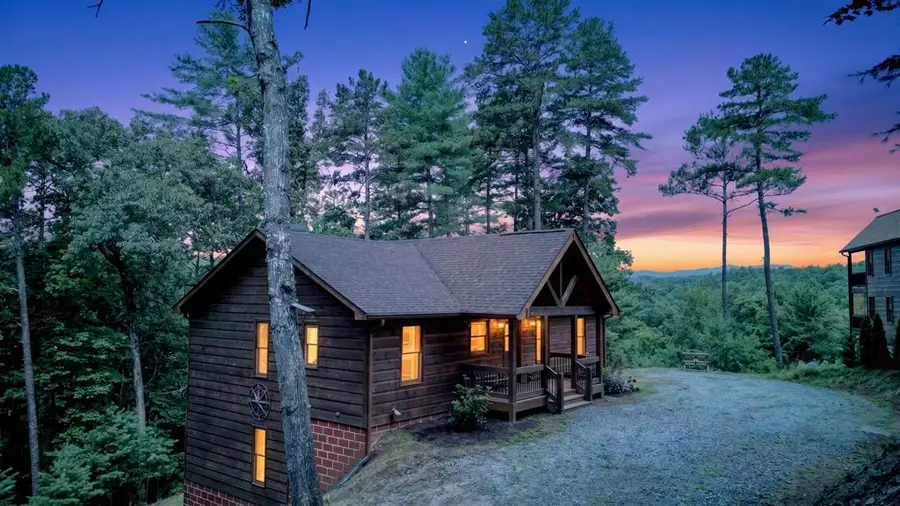 155 Hawks Ridge Drive, Mineral Bluff, GA 30559 - #3