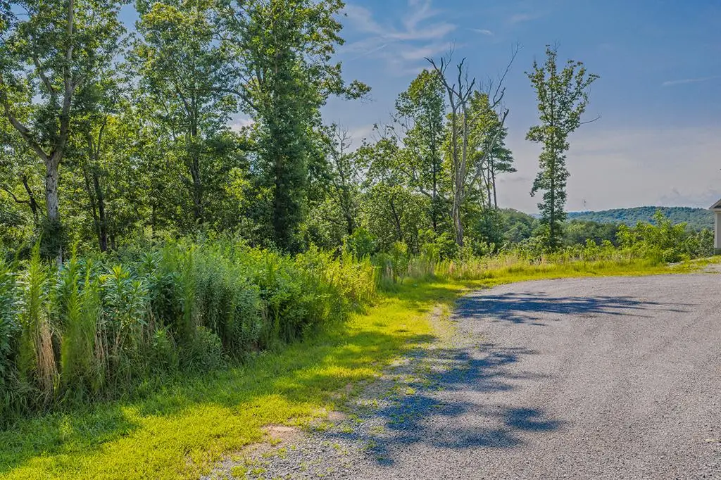 lot 84 High Summit Drive, Talking Rock, GA 30175 - #1
