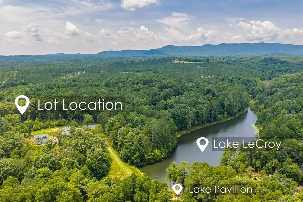 Lot 166 Pinnacle Drive, Ellijay, GA 30540 - #1