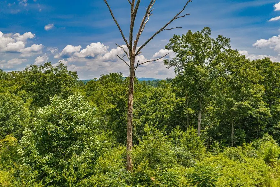 Lot 166 Pinnacle Drive, Ellijay, GA 30540 - #2