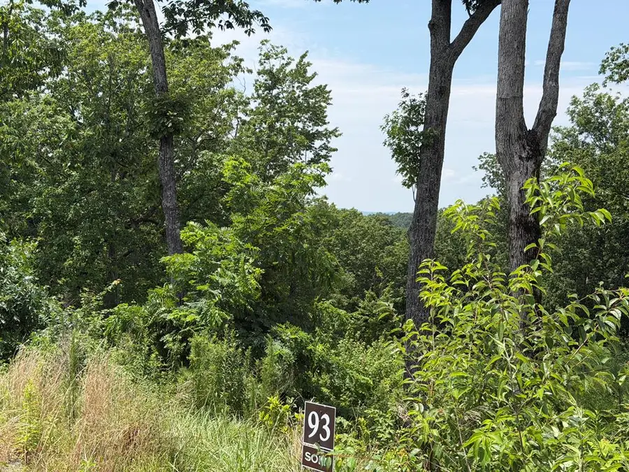 Lot 93 Timberline Trail, Talking Rock, GA 30175 - #3