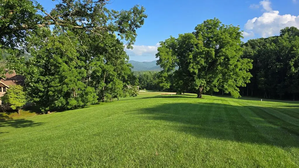 Lot 17C Ash Branch Court, Hayesville, NC 28904 - #1