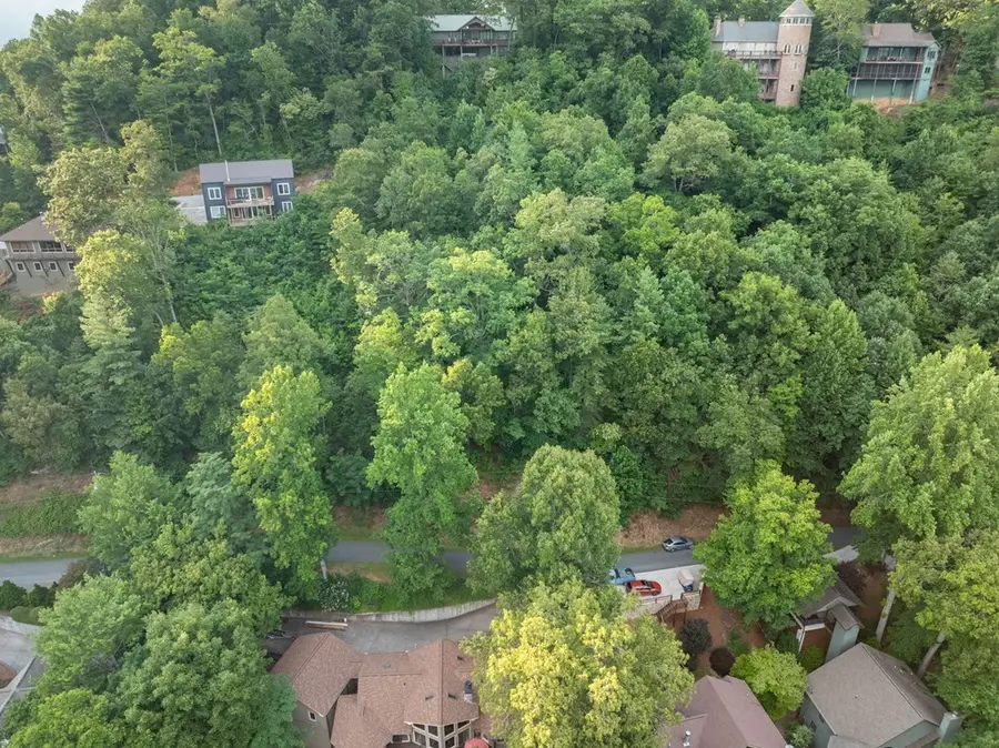 Lot 61 Cherokee Trail, Robbinsville, NC 28771 - #2