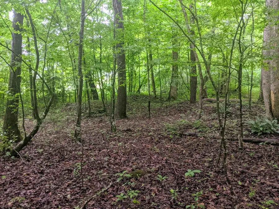 604 Possum Poke Road, Ellijay, GA 30536 - #3