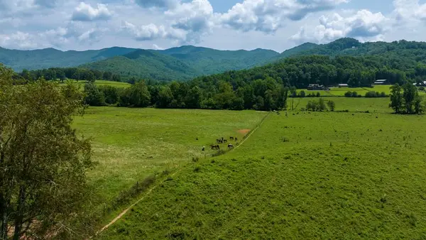 51.20 AC Bethabara Road, Hayesville, NC 28904