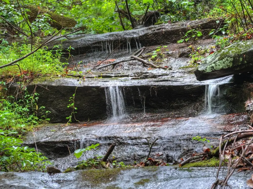 1138 Douglas Mountain Trail, Ellijay, GA 30540 - #1