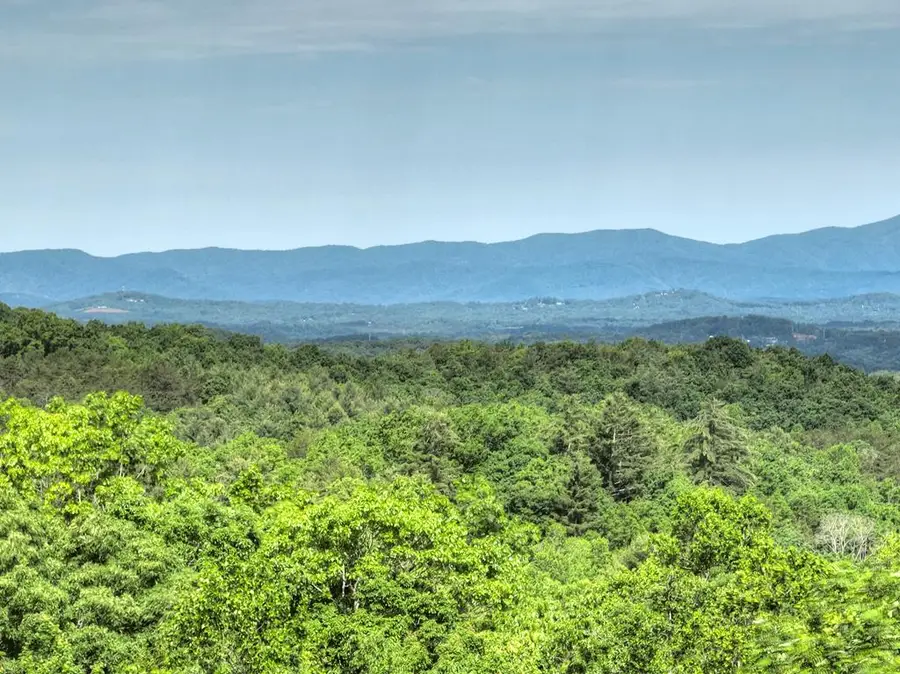 54 Channing Hollow, Morganton, GA 30560 - #3