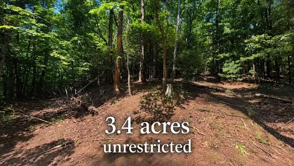3.4 acre Peach Lane, Ellijay, GA 30536