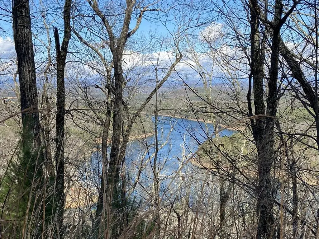 #139 Genessee Path, Blue Ridge, GA 30513 - #1