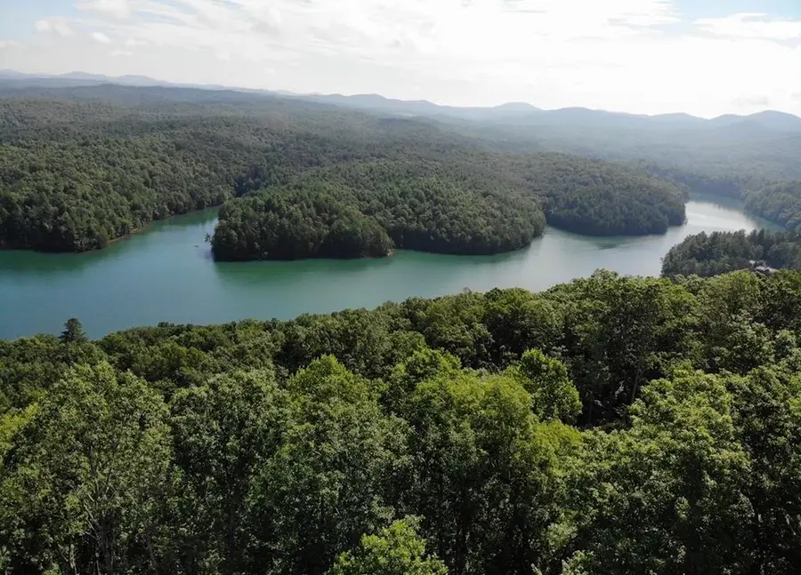 #139 Genessee Path, Blue Ridge, GA 30513 - #2