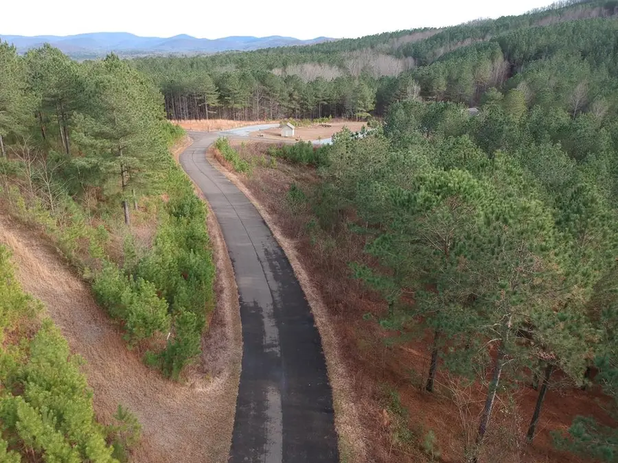 LT 43&44 Reece Mountain Road, Ellijay, GA 30536 - #2