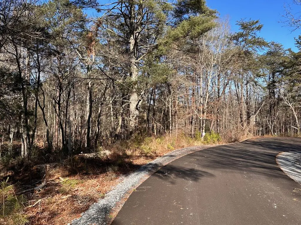 Lot 14 Fairview Way, Blue Ridge, GA 30560 - #1