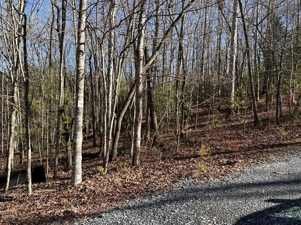 lot 19 Fairview Drive, Morganton, GA 30560 - #1