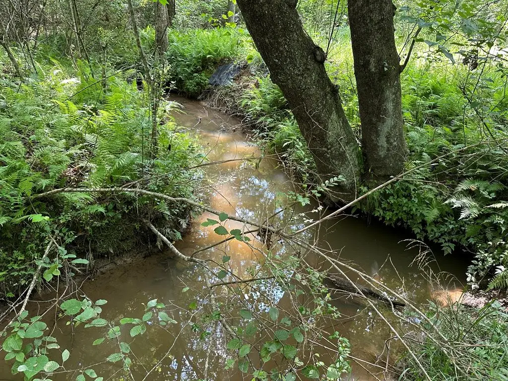 Lot 30 Fairview Drive, Morganton, GA 30560 - #1