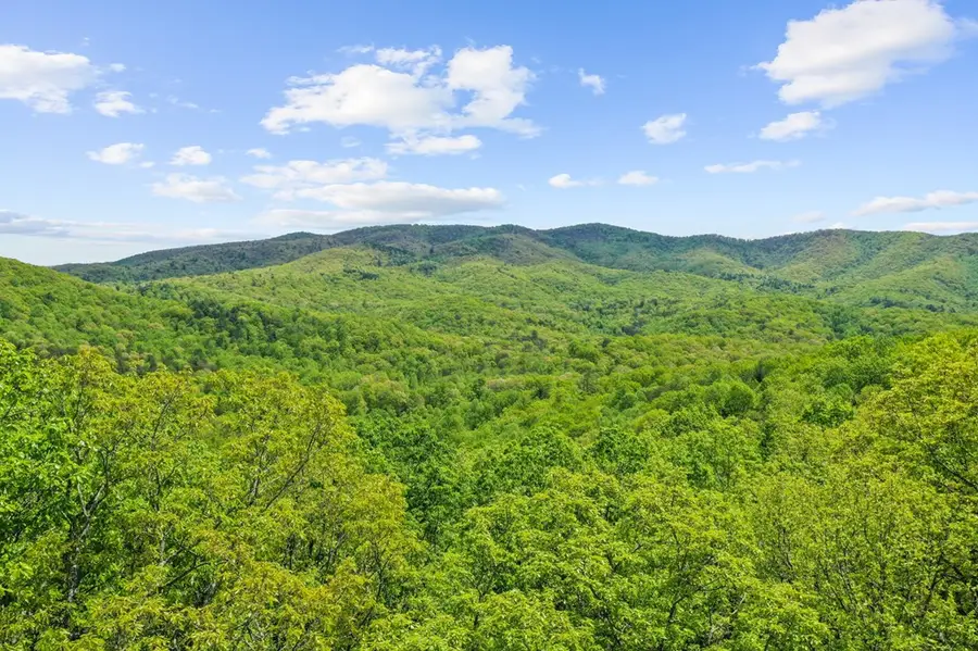 LT 19 Forest Ridge Drive, Rich Mountain, GA 30540 - #2