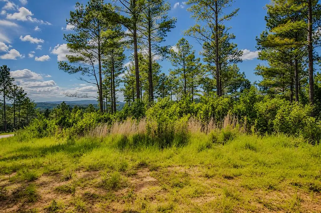 Lot 62 Seven Mile Creek Road, Talking Rock, GA 30175 - #1