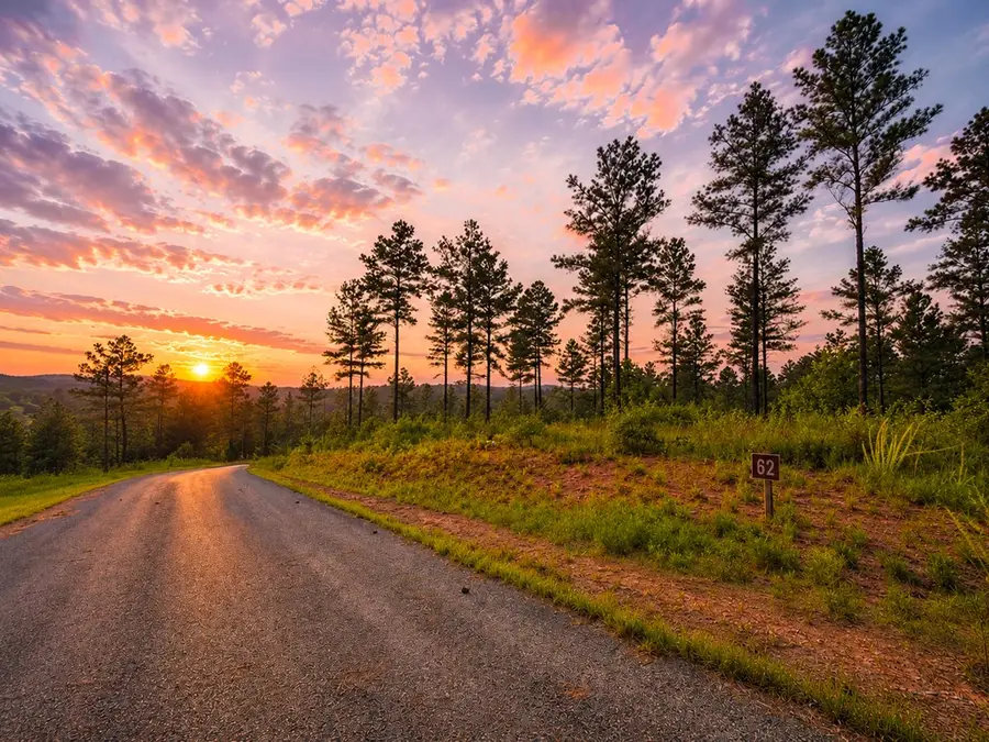 Lot 62 Seven Mile Creek Road, Talking Rock, GA 30175 - #3