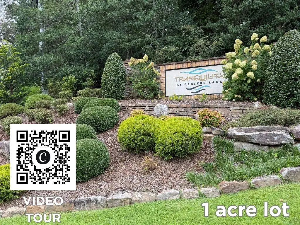 138 Harris Creek Drive, Ellijay, GA 30540 - #1