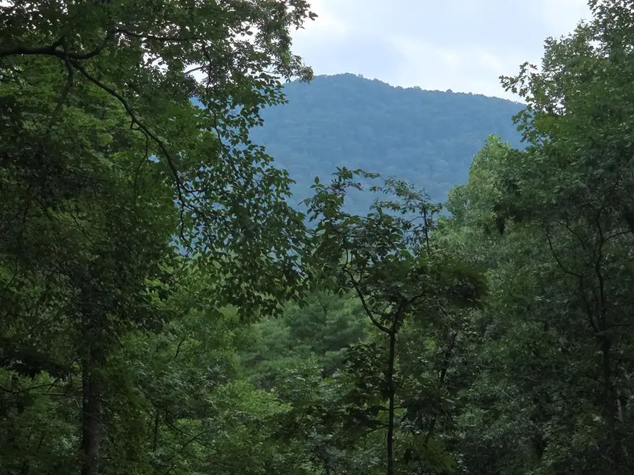 150 Trail Tree Drive, Blairsville, GA 30512 - #3