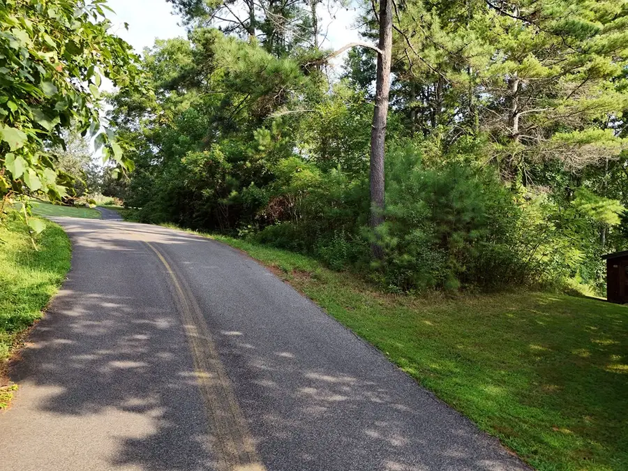 Lot 4 Butterfly Lane, Blairsville, GA 30512 - #2