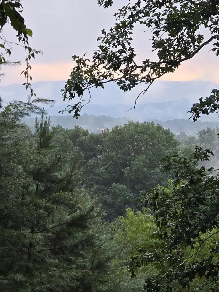 Lot B & W Ranch Road, Blairsville, GA 30512 - #1