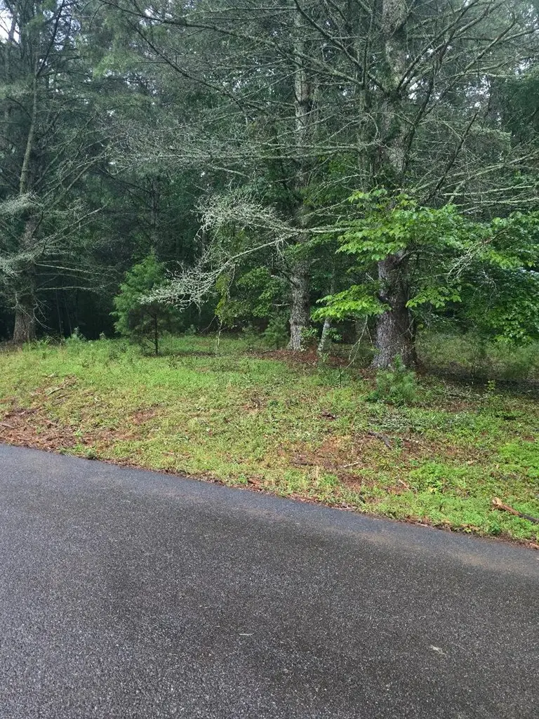 Lot B & W Ranch Road, Blairsville, GA 30512 - #2