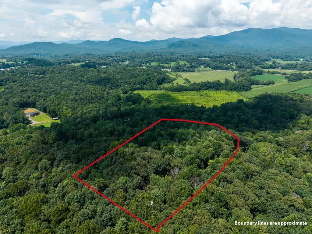 237 Rusty Lady Ln, Ellijay, GA 30536 - #1
