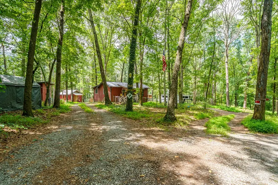 237 Rusty Lady Ln, Ellijay, GA 30536 - #3