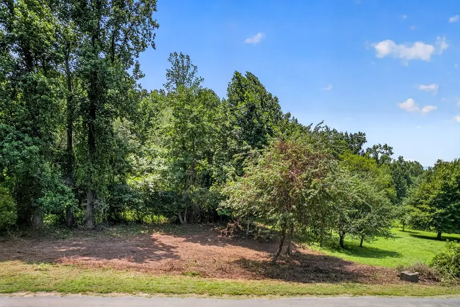 TR 1 & 4 Bocon Lane, Hiawassee, GA 30546 - #3