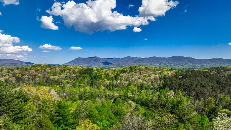 43 S Dustin Drive, Ellijay, GA 30540 - #2