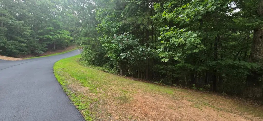LOT 9 Harris Creek Drive, Ellijay, GA 30540 - #1