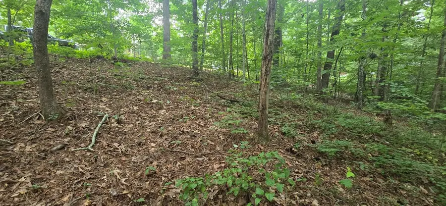LOT 9 Harris Creek Drive, Ellijay, GA 30540 - #2