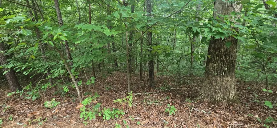 LOT 9 Harris Creek Drive, Ellijay, GA 30540 - #3