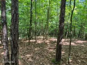 Lot 11 Green Cove Circle, Murphy, NC 28906 - #1